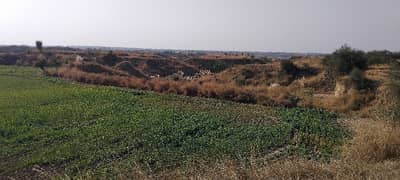 400 Kanal Agricultural Land For Sale In Balksar