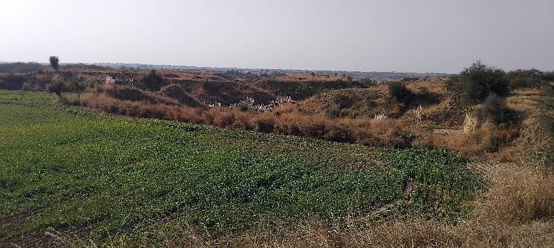 400 Kanal Agricultural Land For Sale In Balksar 0