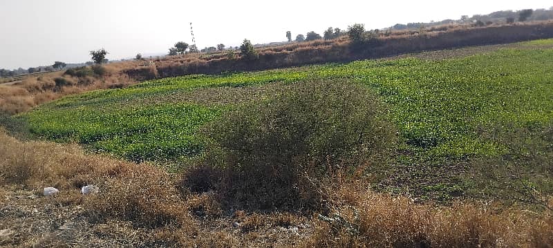 400 Kanal Agricultural Land For Sale In Balksar 5