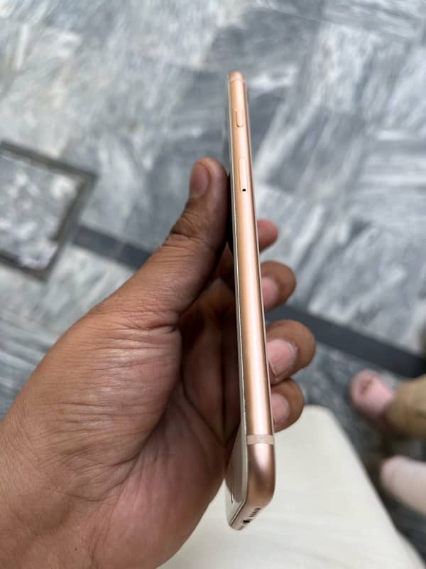 iphone 8 plus pta approved 64 gb 1