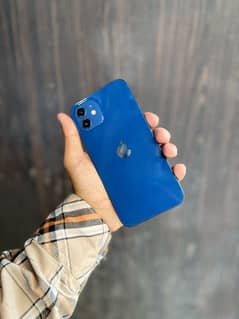 iphone 12 blue