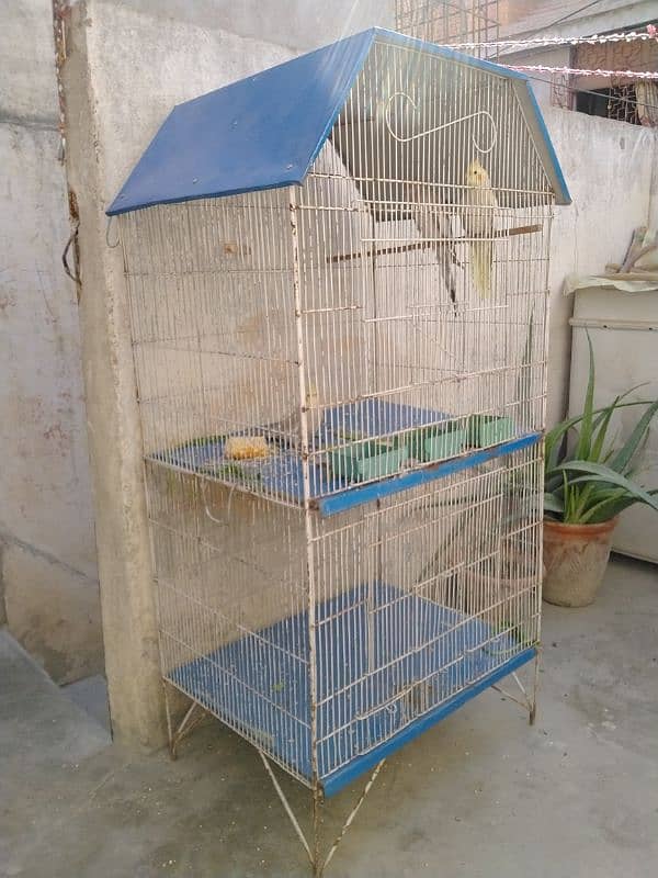 Cage for Sale 0