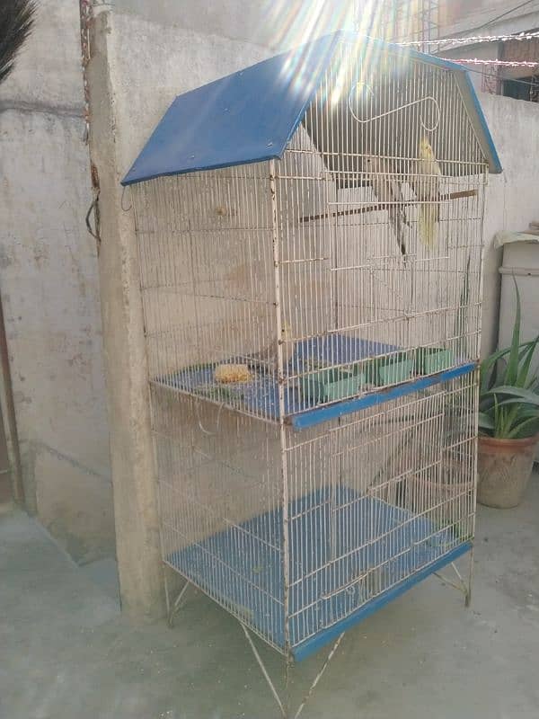 Cage for Sale 1