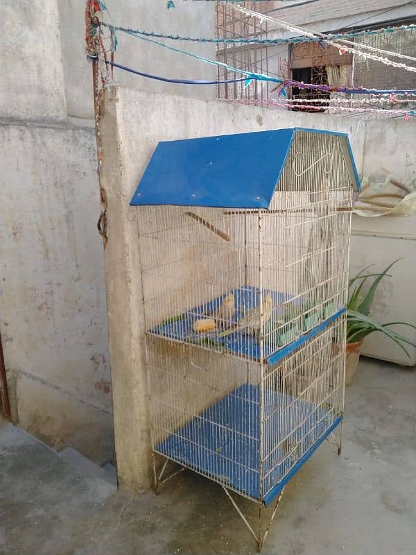 Cage for Sale 2