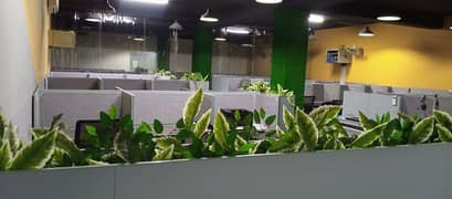 furnished office for rent in johar town R1 ,  Ph:03214246050