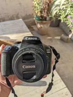 canon 1300D with 50 mm lense