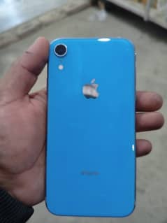 iphone Xr  whatsapp 0 3 1 5 0 4 3 0 0 3 7