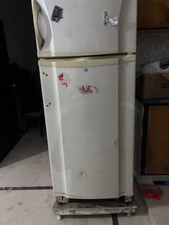 1 Refrigerator and 1 Standing Freezer