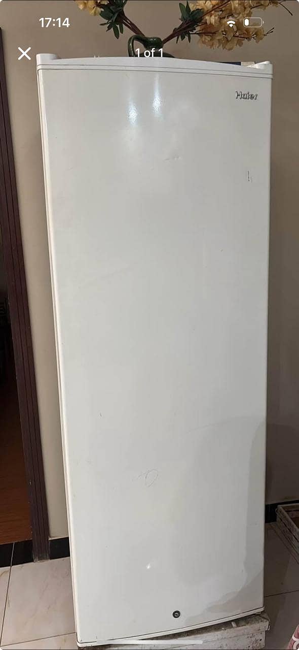 1 Refrigerator and 1 Standing Freezer 1