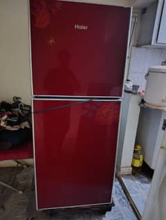 Refrigerator Used