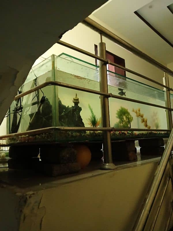 For Sale: 5ft+ Fish Aquarium with Accessories – Like New! 2