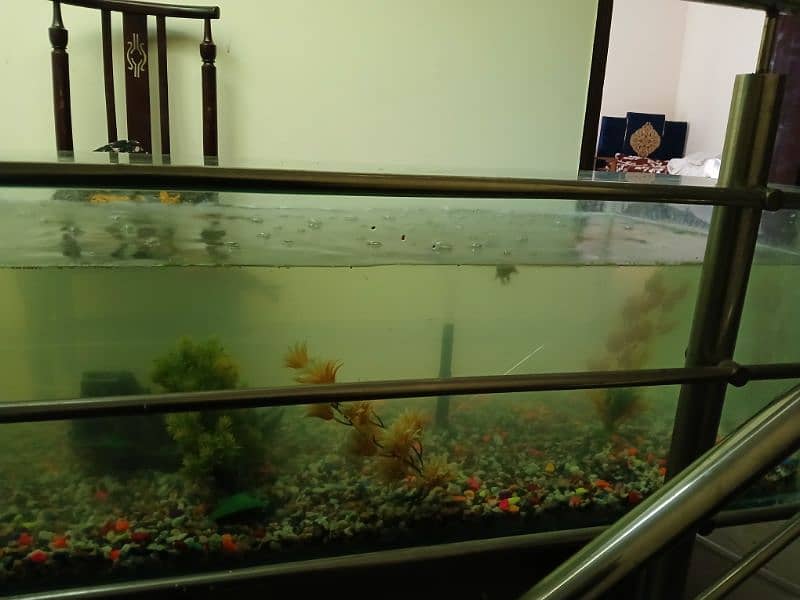 For Sale: 5ft+ Fish Aquarium with Accessories – Like New! 3