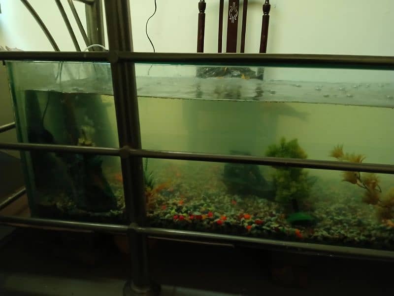 For Sale: 5ft+ Fish Aquarium with Accessories – Like New! 4