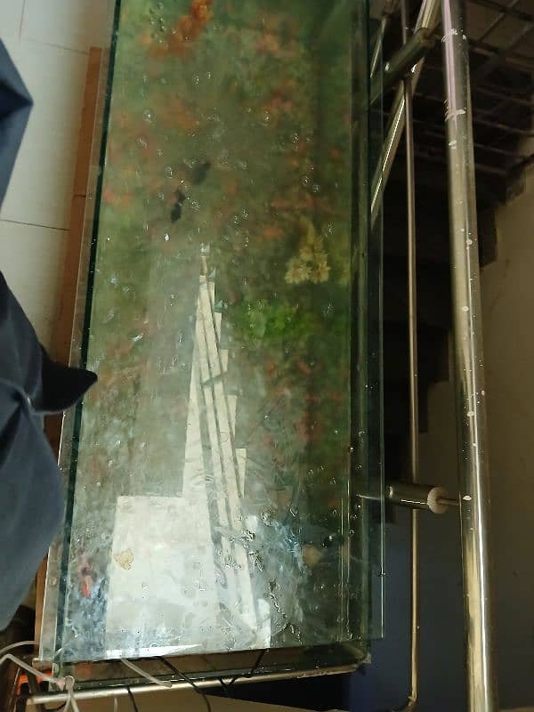 For Sale: 5ft+ Fish Aquarium with Accessories – Like New! 5