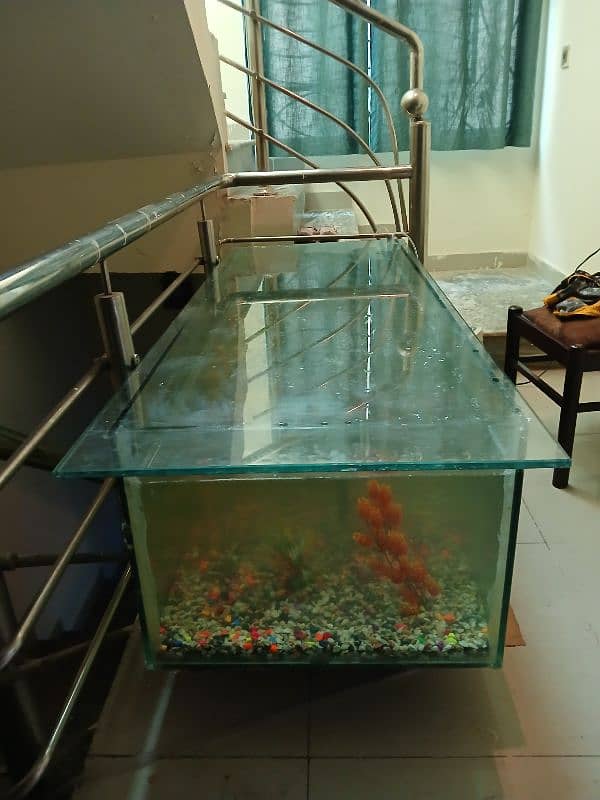 For Sale: 5ft+ Fish Aquarium with Accessories – Like New! 8