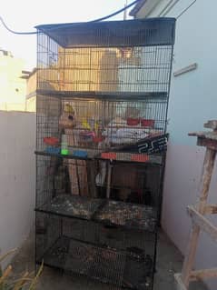 cage for all birds & parrot