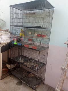 cage pinjra for all birds & parrot