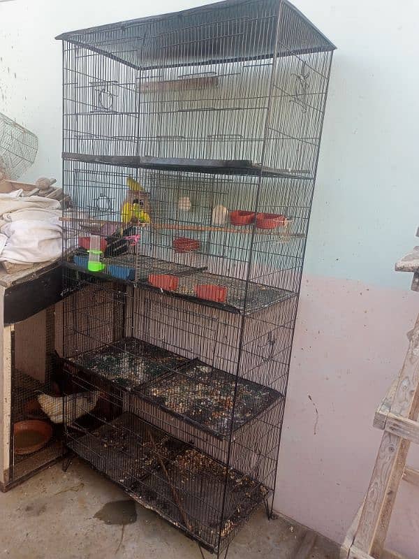 cage pinjra for all birds & parrot 0