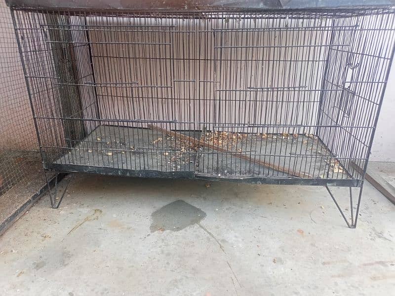 cage pinjra for all birds & parrot 1