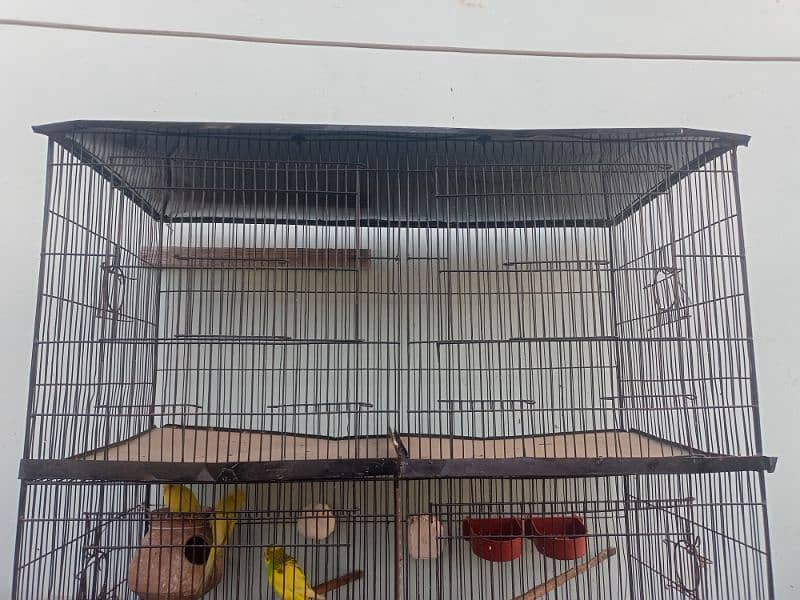 cage pinjra for all birds & parrot 2