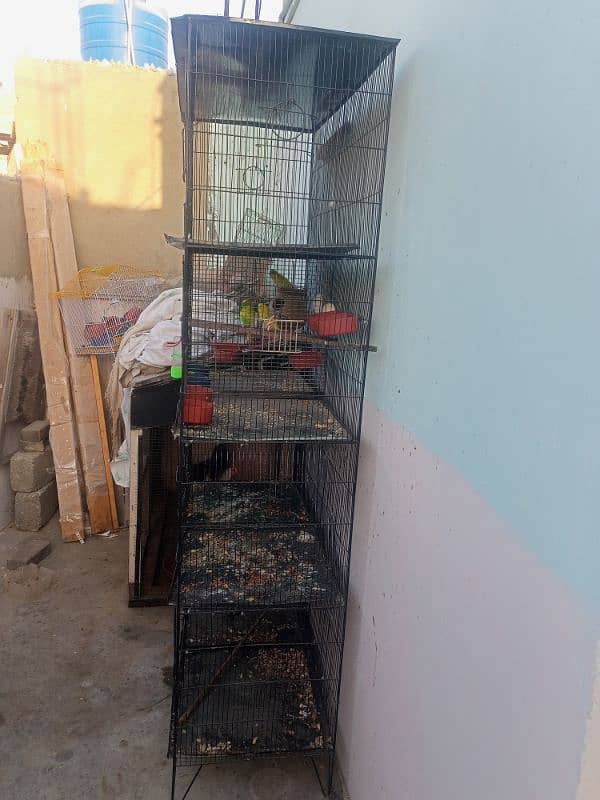 cage pinjra for all birds & parrot 3