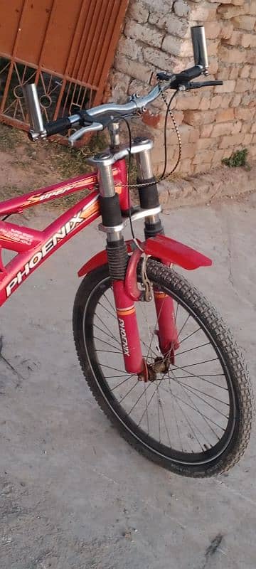 phoenix bicycle 2