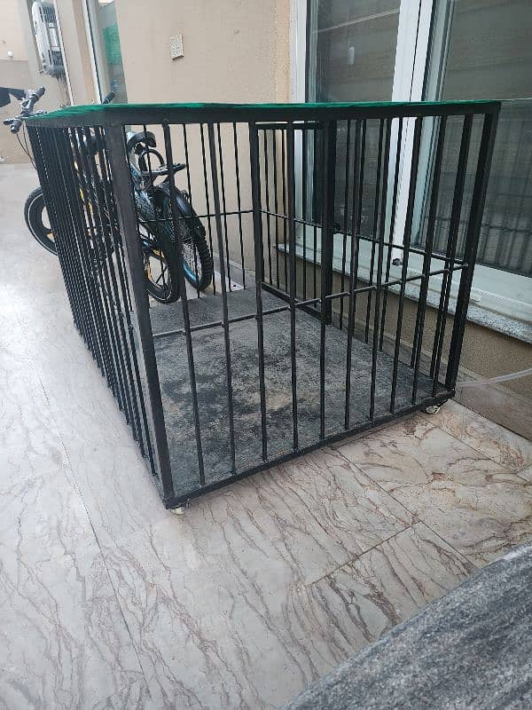 cage for sale 1