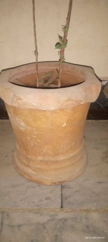 I'm selling. . . . Plants pots+Iron cages+Incubator. . 9