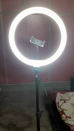 Ring light with stand