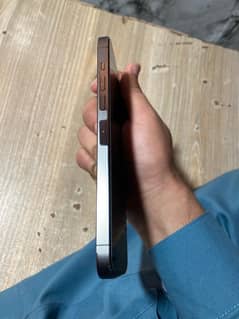 iphone 13 pro max non pta sim working