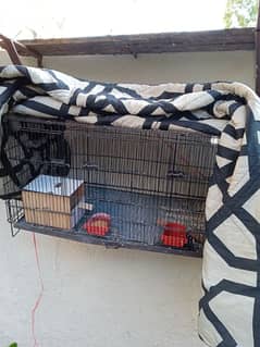 Folding cage avalible for sale