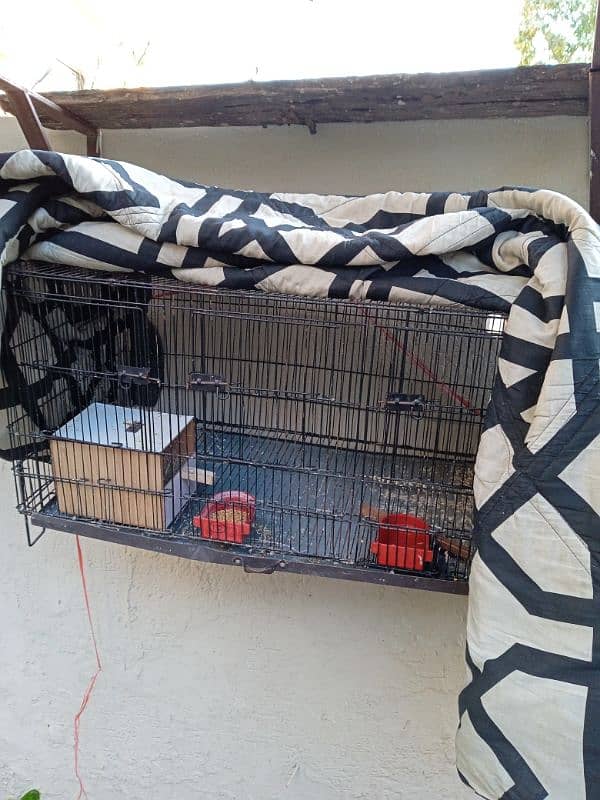 Folding cage avalible for sale 0