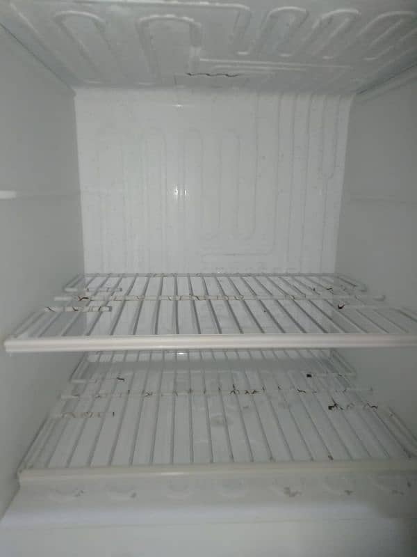 fridge 2