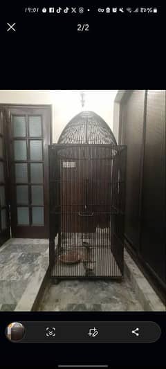 Parrot Cage