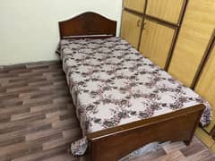 Single Bed Available