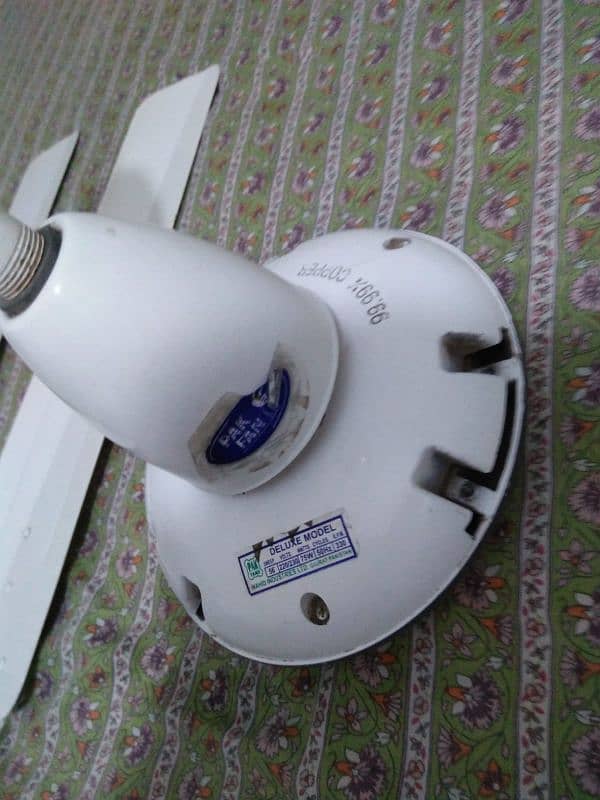 Pak Fan (Ceiling Fans) 11