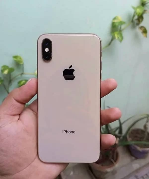 iPhone XS 256 Gb 0