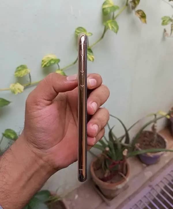 iPhone XS 256 Gb 1