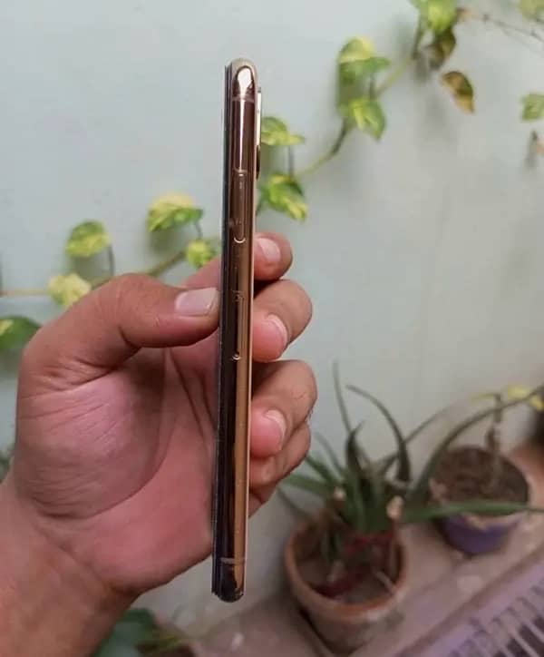 iPhone XS 256 Gb 3