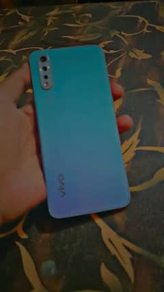 vivo