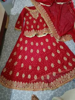 Stunning Red Fish-Style Lehenga for Sale