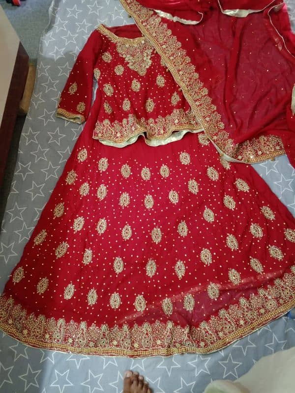 Stunning Red Fish-Style Lehenga for Sale 0