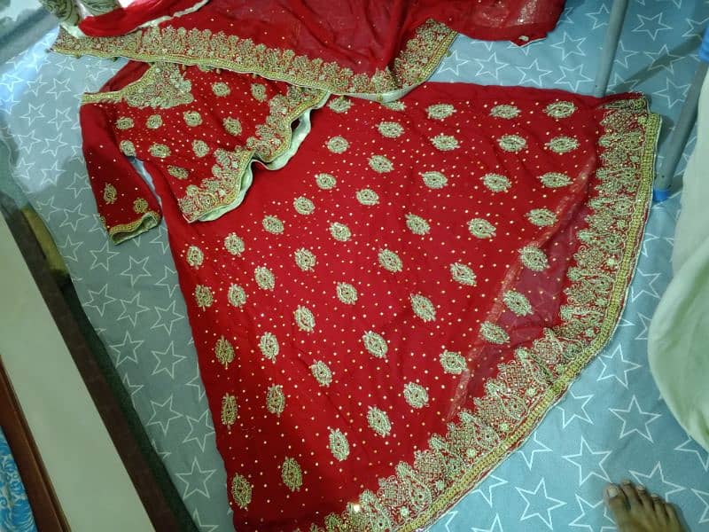 Stunning Red Fish-Style Lehenga for Sale 1