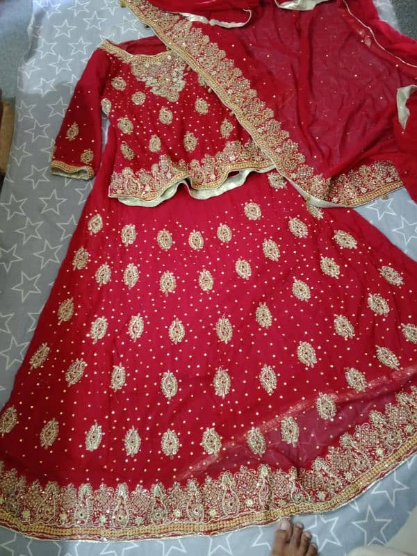 Stunning Red Fish-Style Lehenga for Sale 2