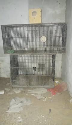 Birds cage pinjra