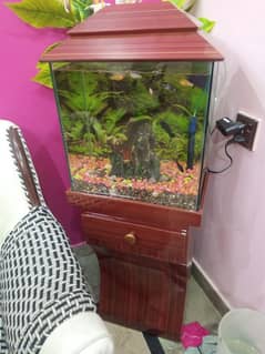 fish Aquarium for sale