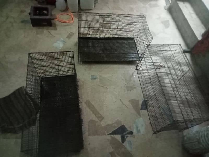 bird's cages 0