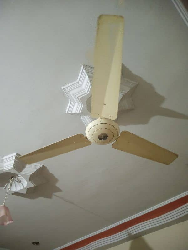 2 FANS FOR SALE 56" 1