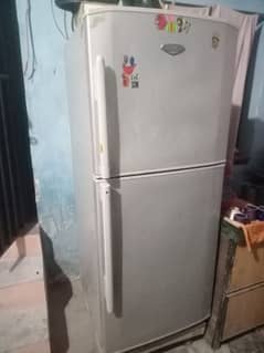 Fridge/Refrigerator