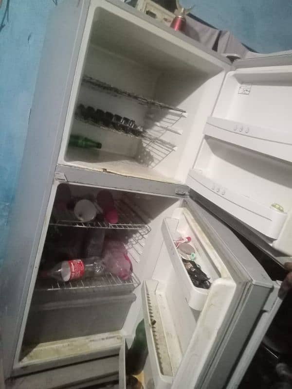 Fridge/Refrigerator 1